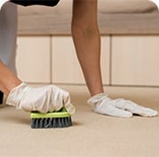 Scrubbing - Mold Remediation Treatment Options