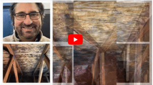 Click here to See The Video and Transcript of this West Bloomfield nightmare attic Mold Remediation Project