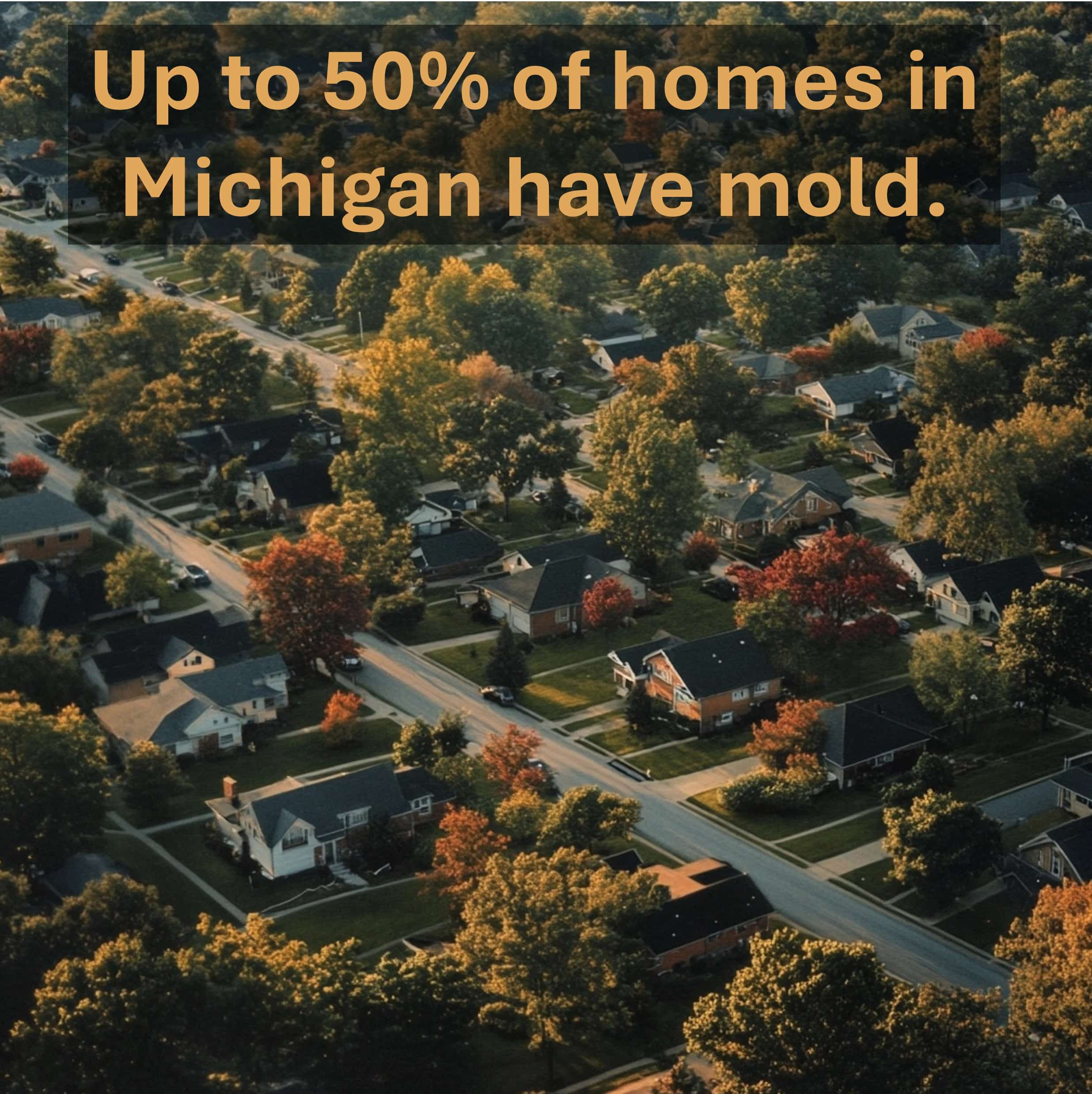 Up to 50 percent of homes in Michigan have mold
